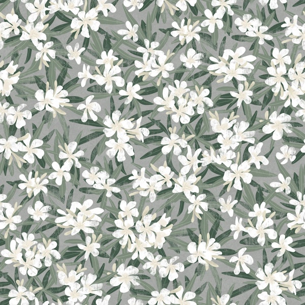 Oleander - white