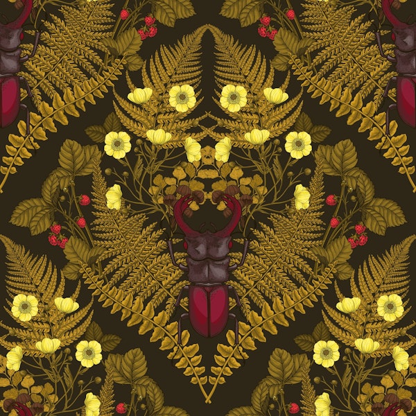 Stag beetle and ferns