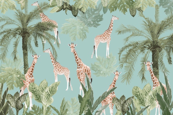 Giraffes in the Jungle 3