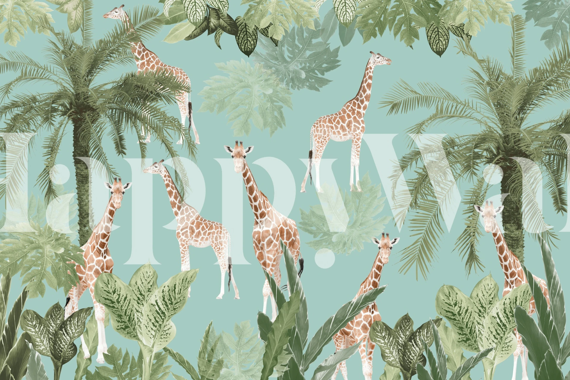 Giraffes amid tropical palm leaves and greenery wallpaper