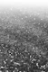 Silver Gray Black Glitter 2