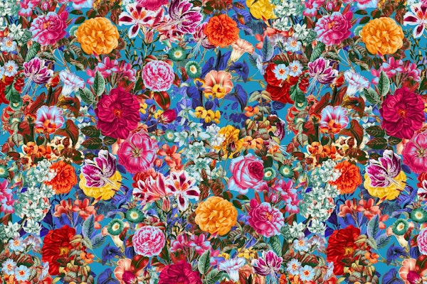 Multicolored Secret Garden