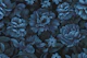Velveteen Dark Moody Flowers Midnight Blue