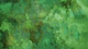 Nordic Moss
