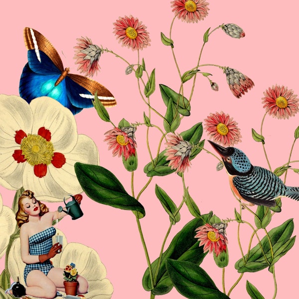 Big Flower Dream Pink