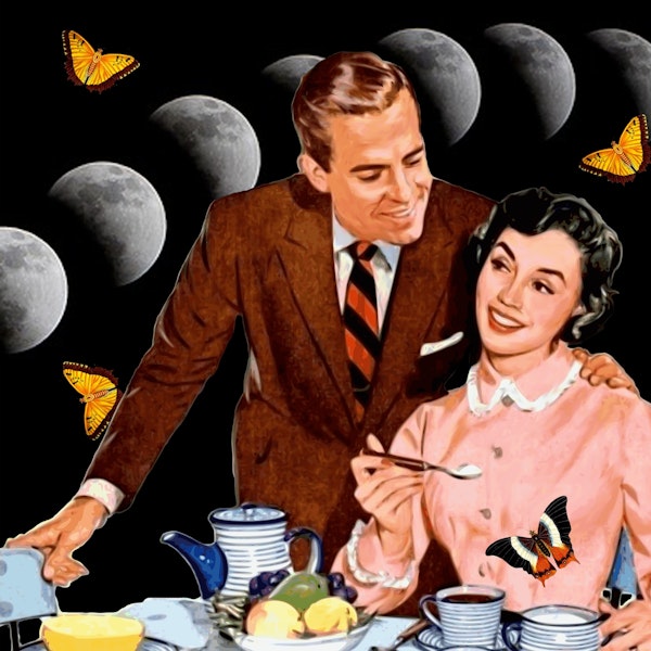 Bread in the Morning Makes Butterflies Fly