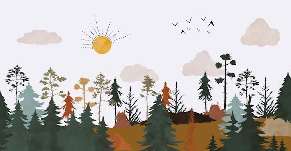 Colorful forest trees AW