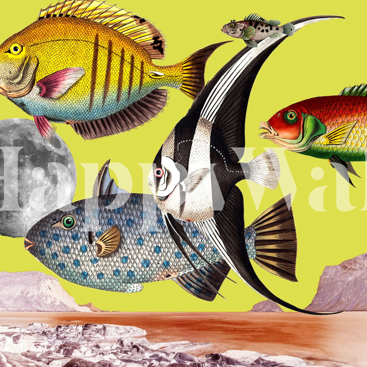 Papier peint mural de poissons tropicaux colorés sur fond jaune vif