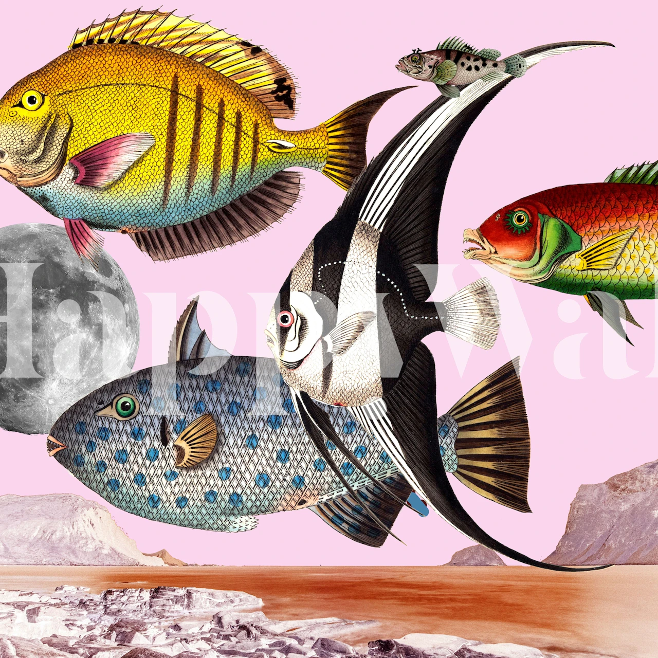 Colorful fish swimming in a pink background wallpaper