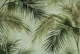 Tropical Island Palm Leaf Watercolor Moody