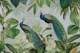 Majestic Peafowls In The Green Jungle