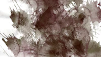 Neutral Wabi Sabi Watercolor behang
