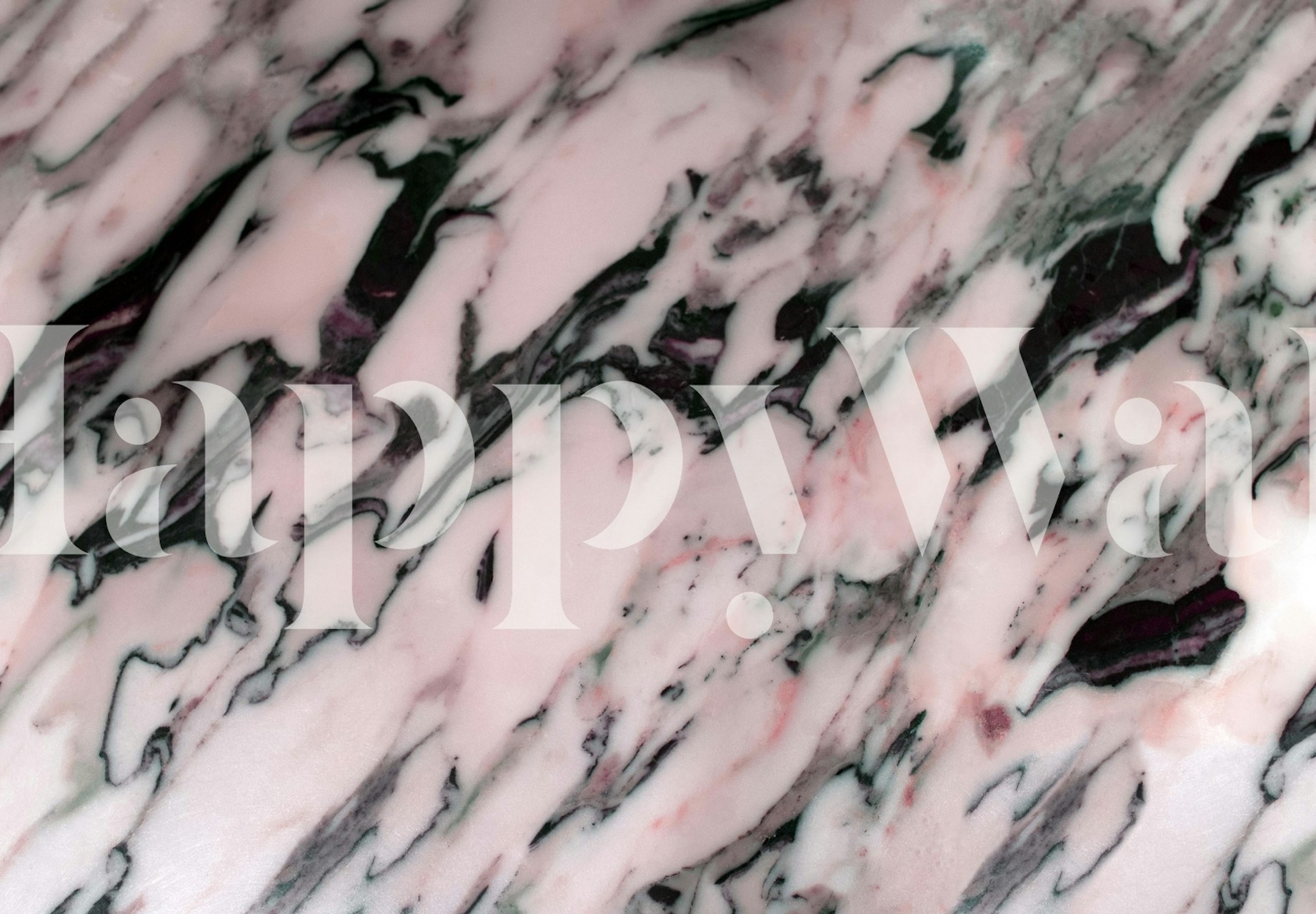 Blush Pink e marmo nero in una stanza