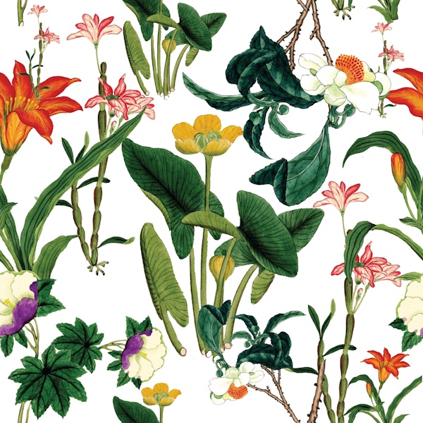 Botanical Vintage Floral White