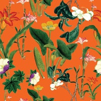 Botanical Vintage Floral Orange ταπετσαρία