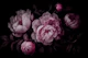 Baroque Night Flowers Garden
