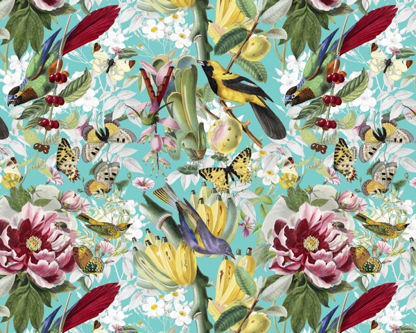 Arcano Viridarium 01