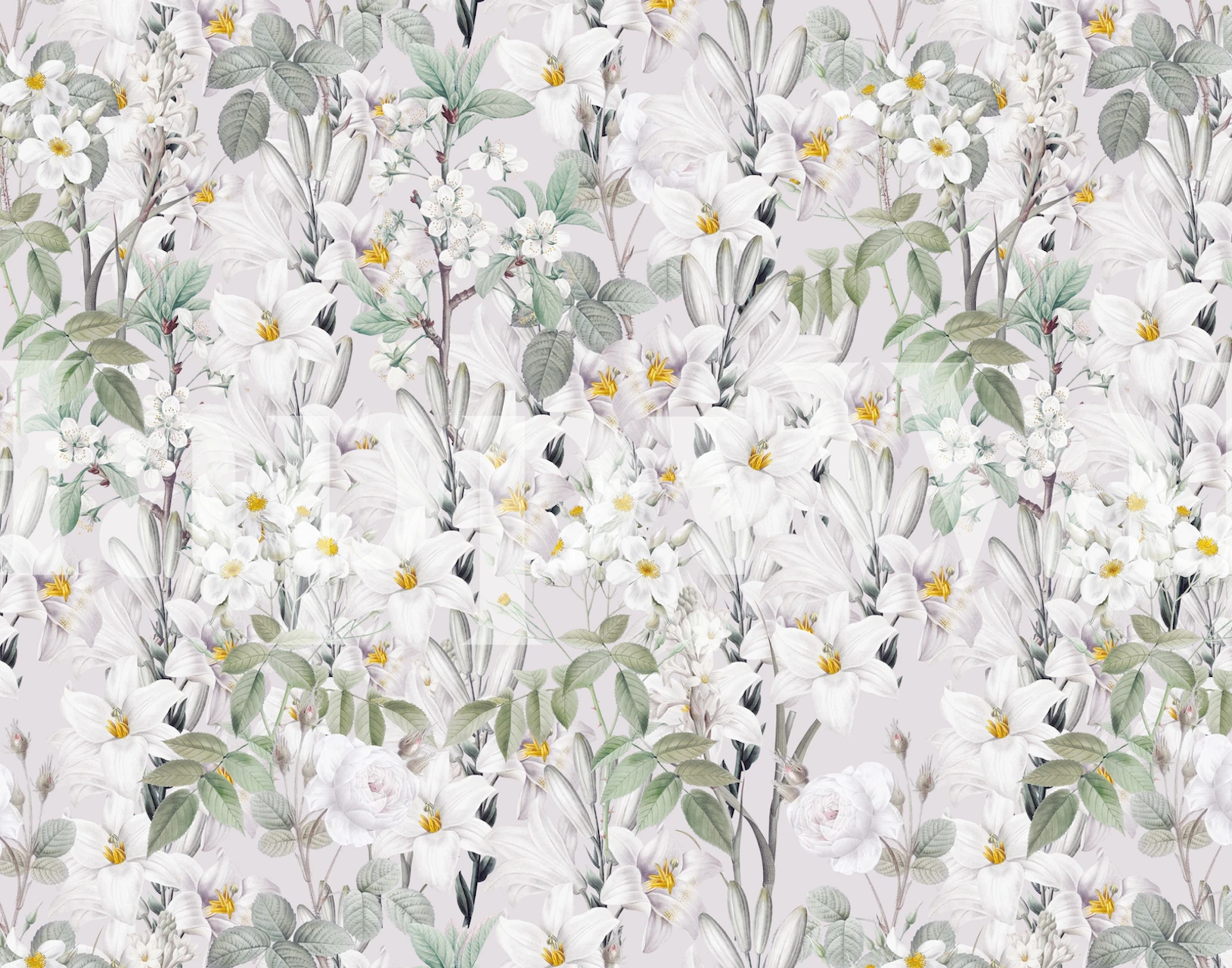 Floral wallpaper with white flowers and green leaves on a light background