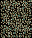 Leopard Animal Print Glam 5
