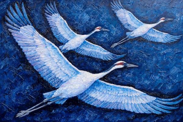 Bird Flight