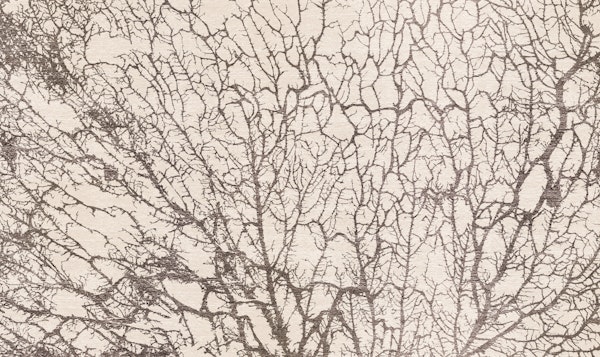 Neutral Forest Moss on Hand Woven Fabric