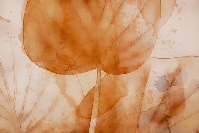 Mural