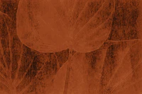 Peach Japandi Leaf wallpaper