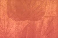 Peach Japandi Leaf tapet