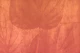 Peach Japandi Leaf