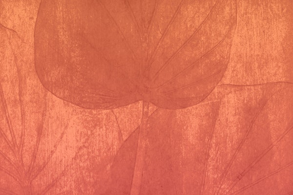 Peach Japandi Leaf