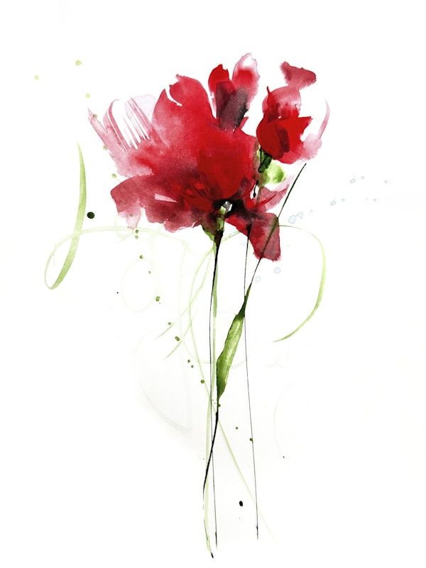 Abstract Poppy Reverie Red