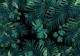 Tropical Jungle Night Leaves 1b