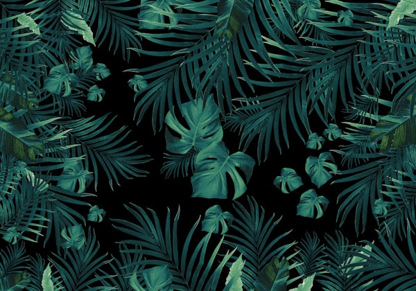 Tropical Jungle Night Leaves 1b
