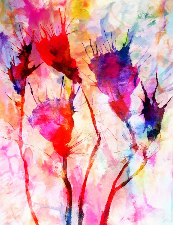 Abstract Tulips