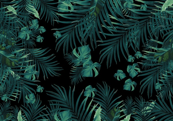 Tropical Jungle Night Leaves 1c