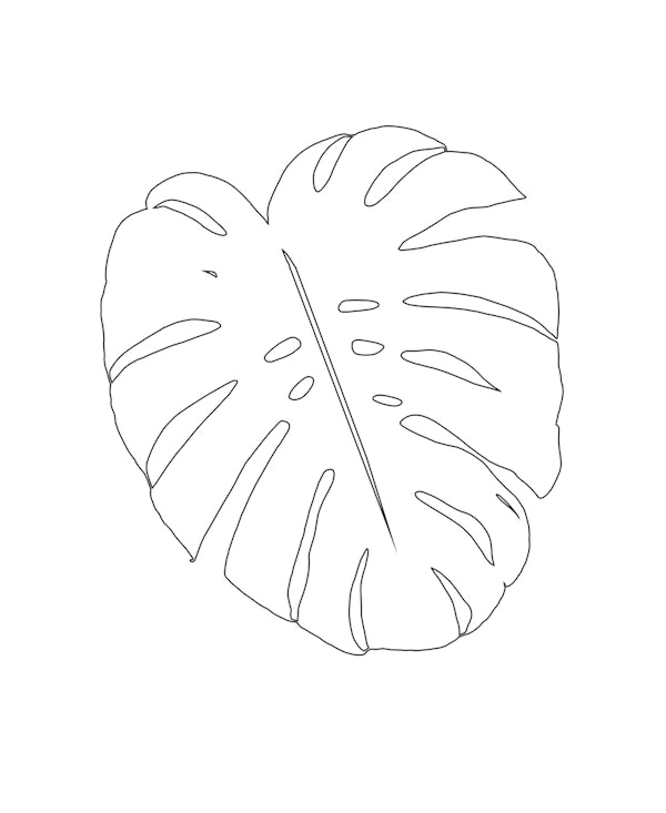 Minimal Monstera Leaf Line 1