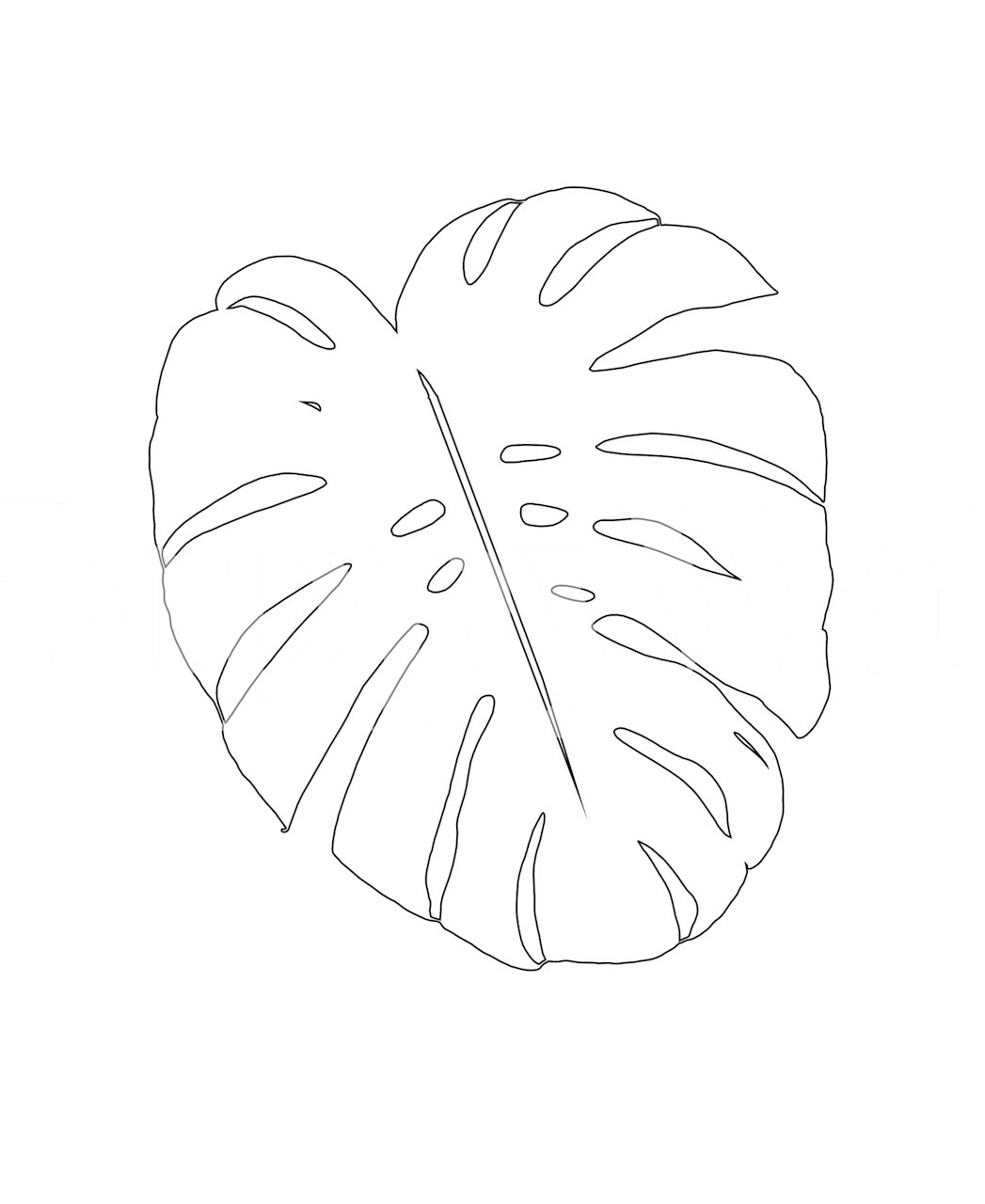 Line drawing Monstera leaf wall mural design