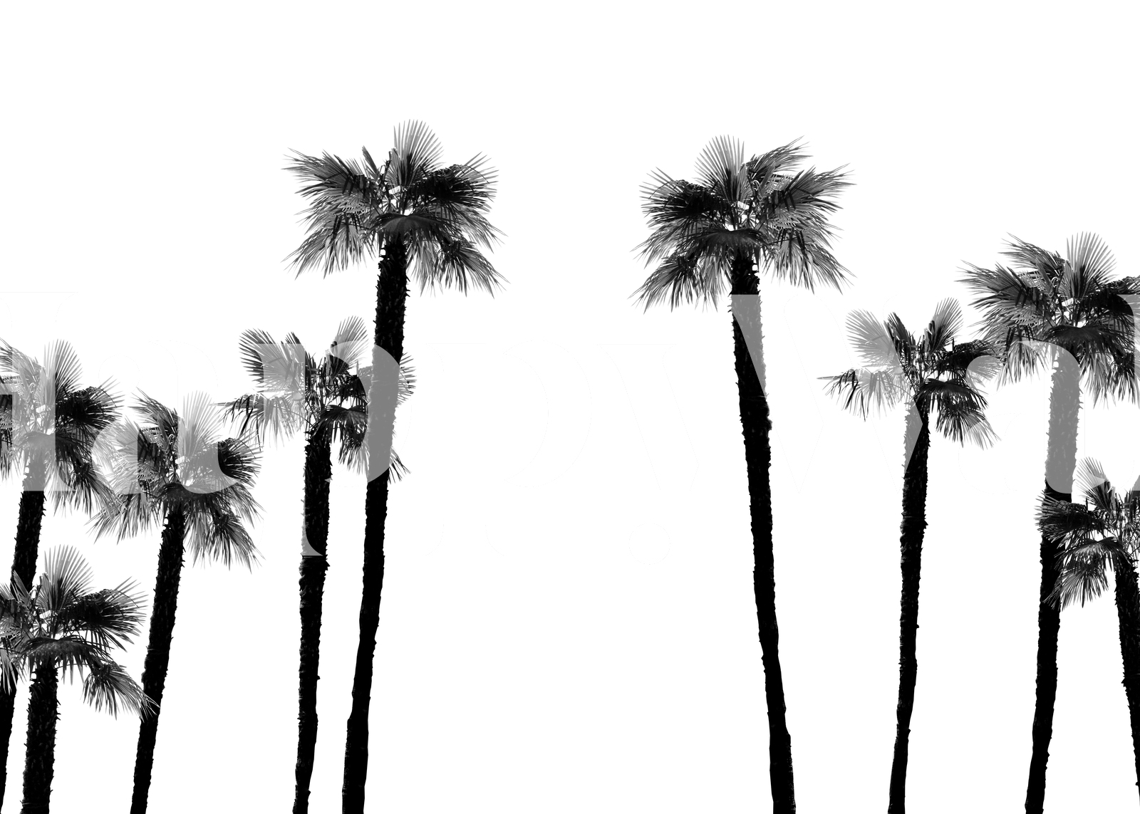 minimal-black-and-white-palms-wallpaper-happywall