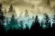 Sunset Forest Dream 2