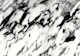Classic White Marble Glam 1