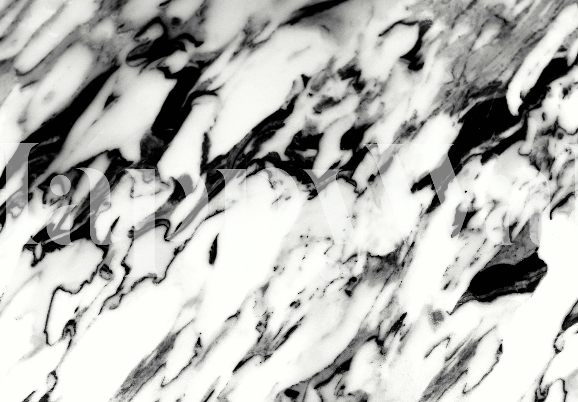 Monochrome classic white marble pattern wall mural with black veins