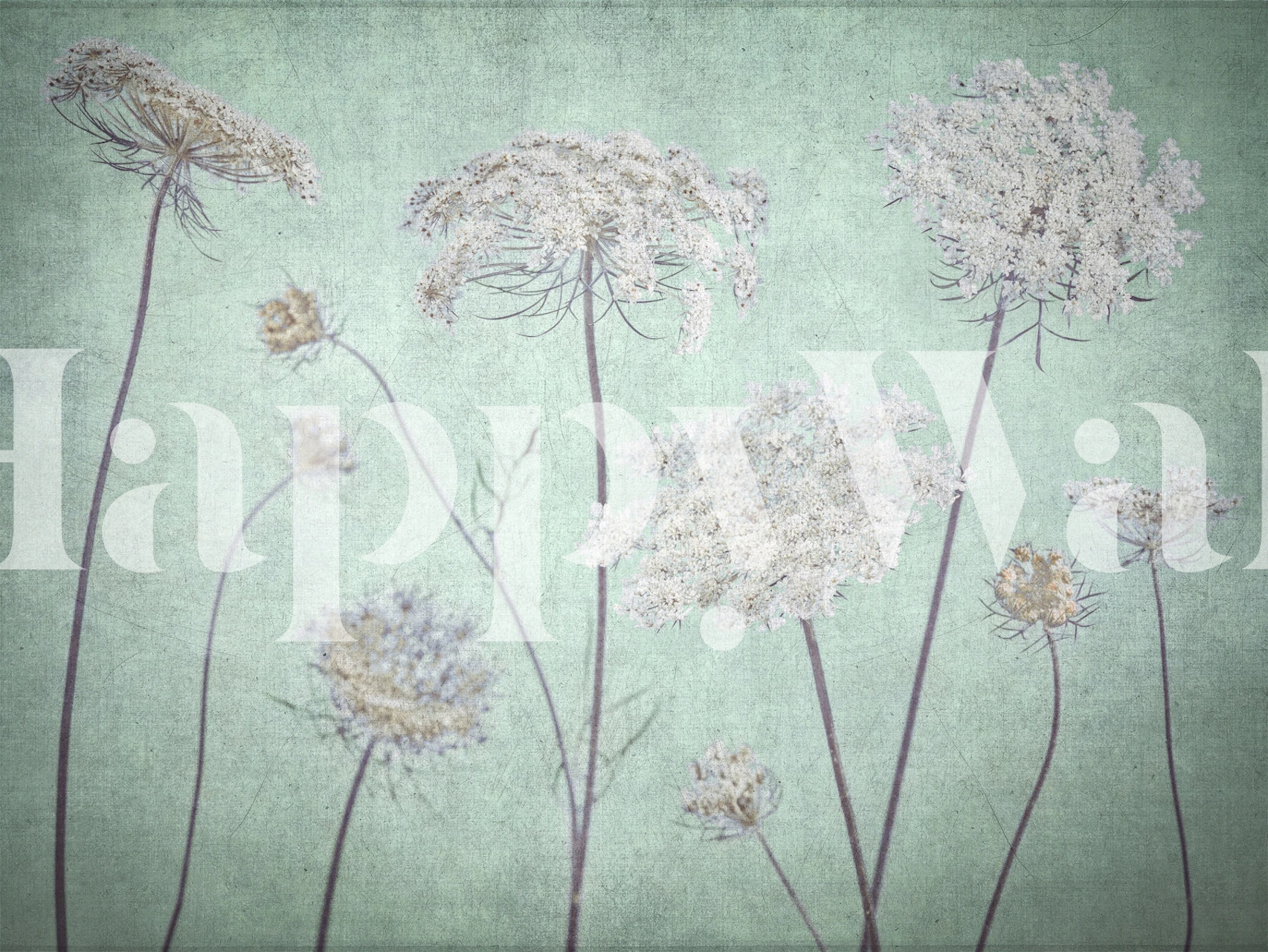 White floral wallpaper with delicate blooms on green background