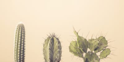 Τοιχογραφία