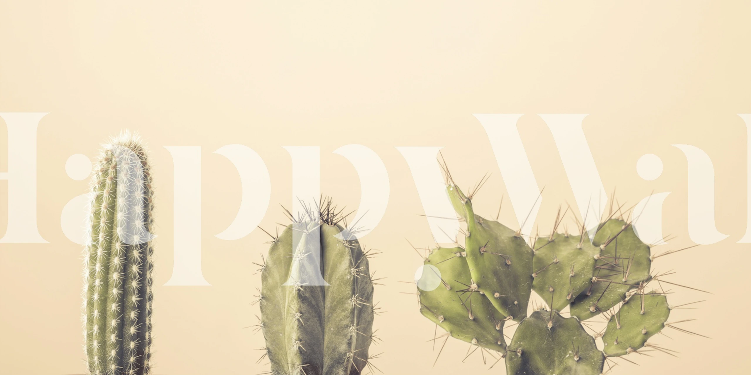 Three cacti against a neutral background wall mural