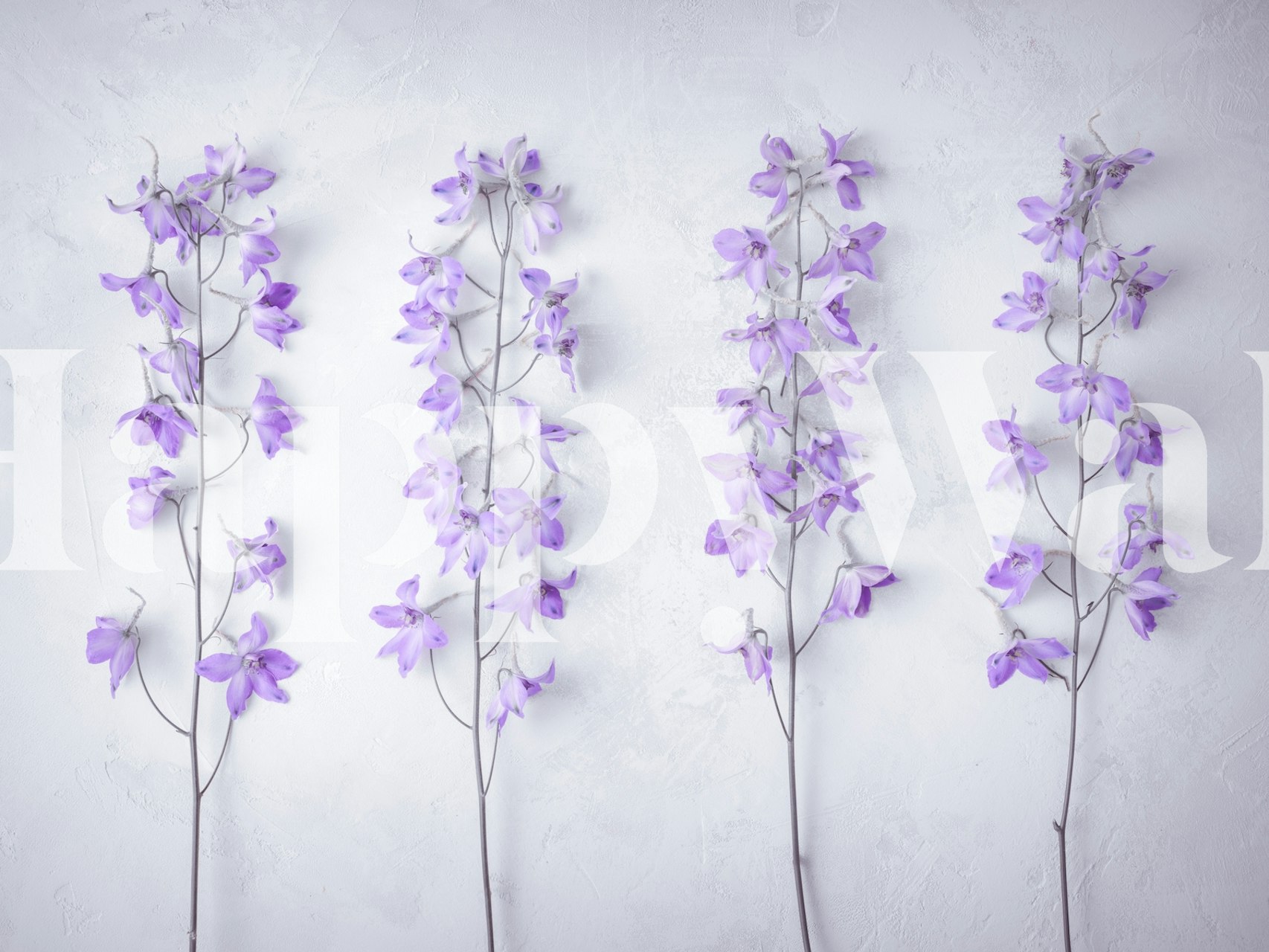 Purple floral wallpaper featuring delicate flowers and stems