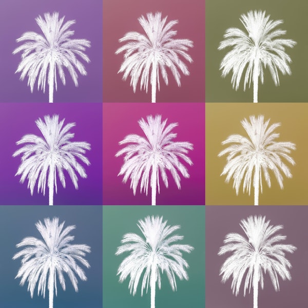 Colourful Palms
