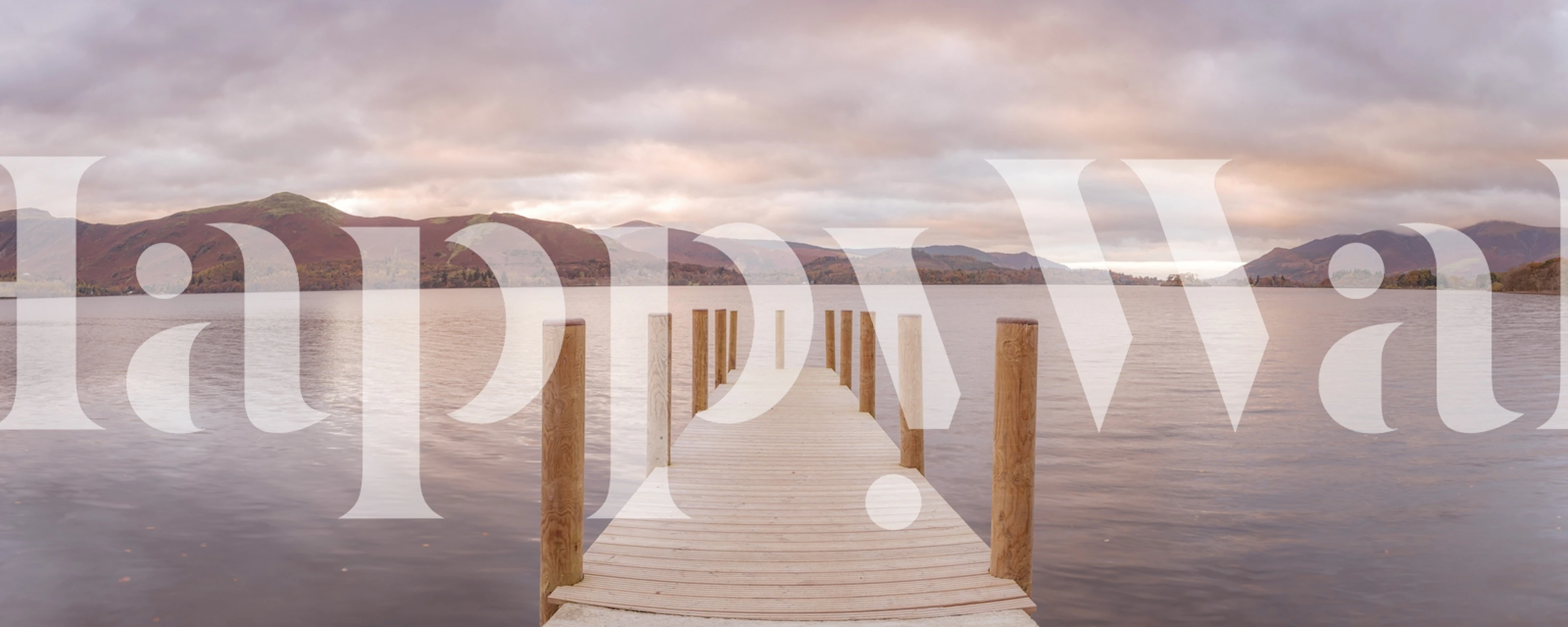 Nature-inspired wallpaper in a room