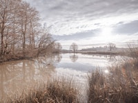 Pond reflection ταπετσαρία