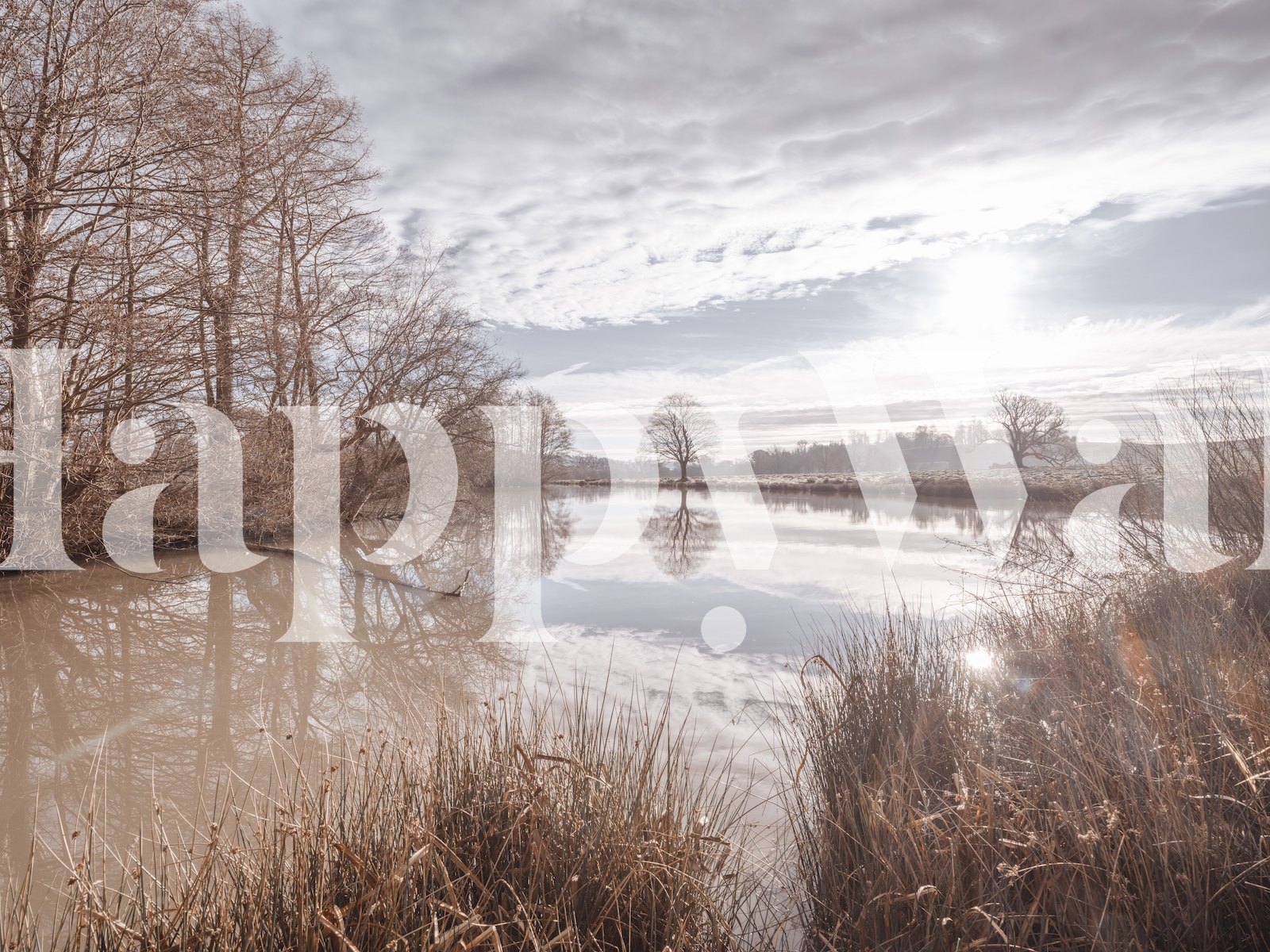 Buy Pond Reflection Wallpaper Online | Happywall