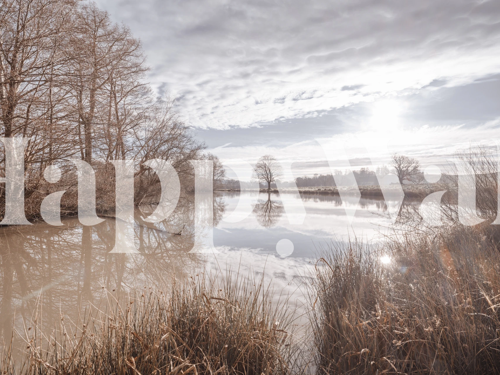 Nature-inspired pond reflection wallpaper in a room